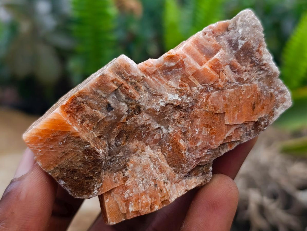Natural Sunset Orange Calcite Specimens x 24 From Spitzkop, Namibia - Toprock Gemstones and Minerals 