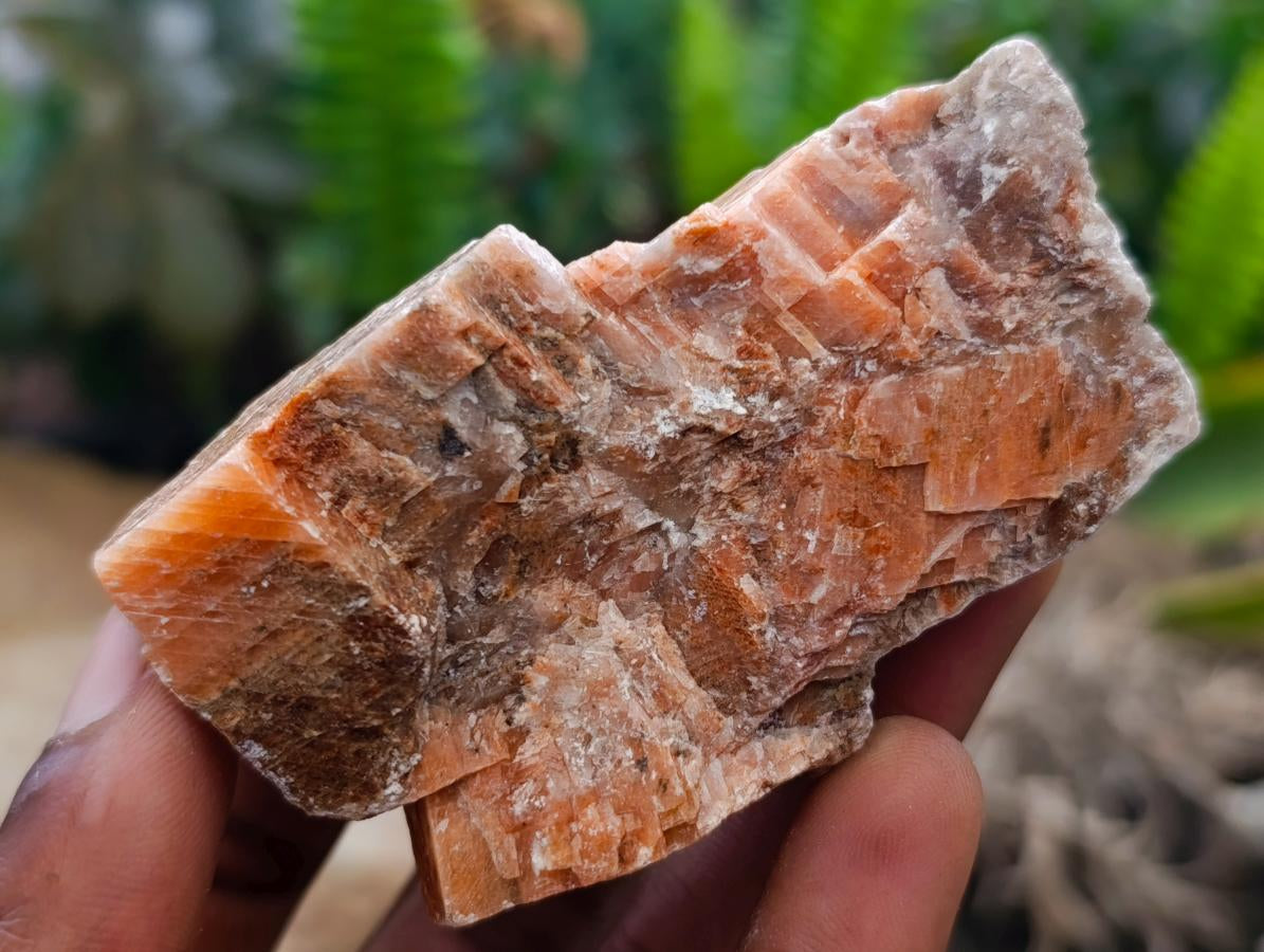 Natural Sunset Orange Calcite Specimens x 24 From Spitzkop, Namibia - Toprock Gemstones and Minerals 