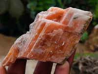 Natural Sunset Orange Calcite Specimens x 24 From Spitzkop, Namibia
