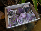 Natural Stichtite Cobbed Specimens x 6 From Barberton, South Africa