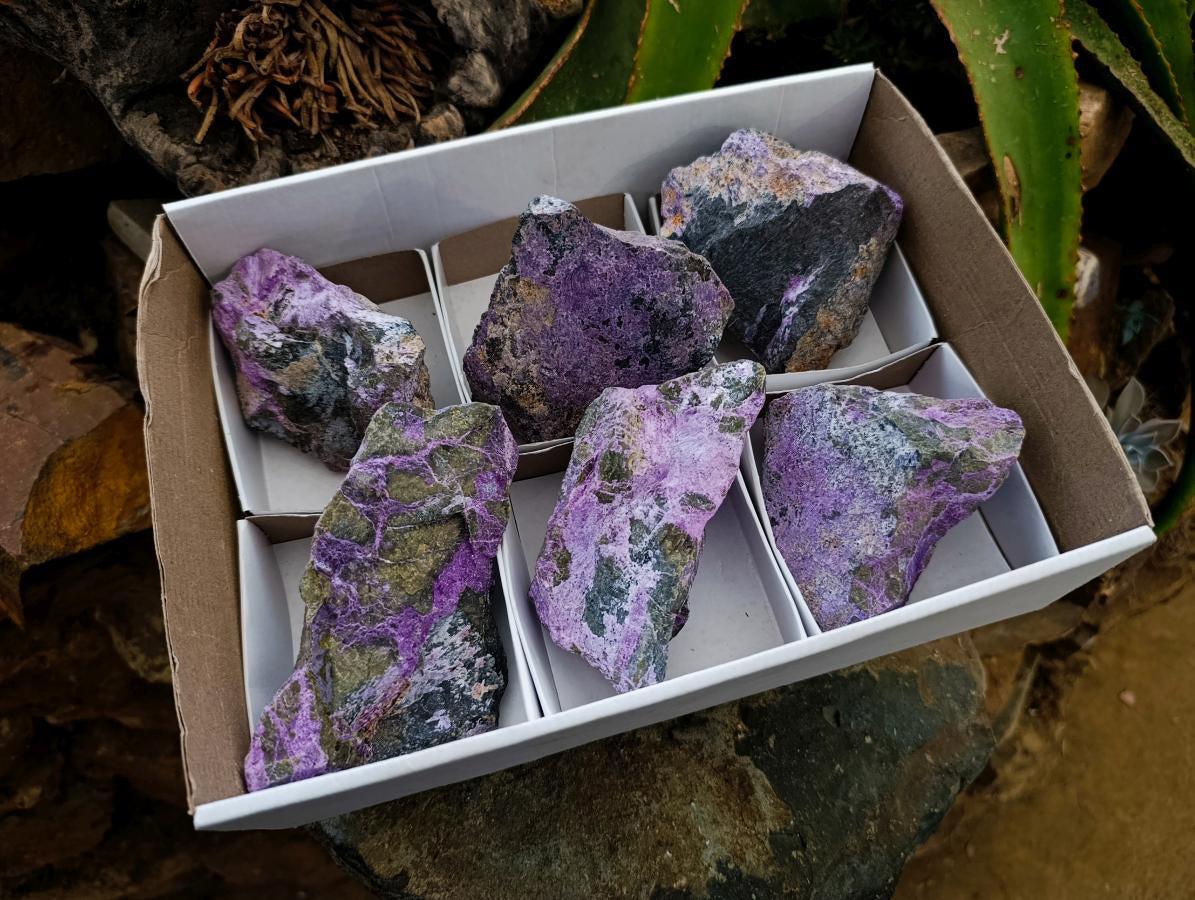 Natural Stichtite Cobbed Specimens x 6 From Barberton, South Africa