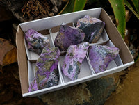 Natural Stichtite Cobbed Specimens x 6 From Barberton, South Africa