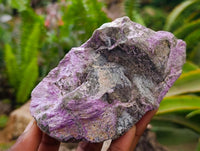 Natural Stichtite Cobbed Specimens x 6 From Barberton, South Africa