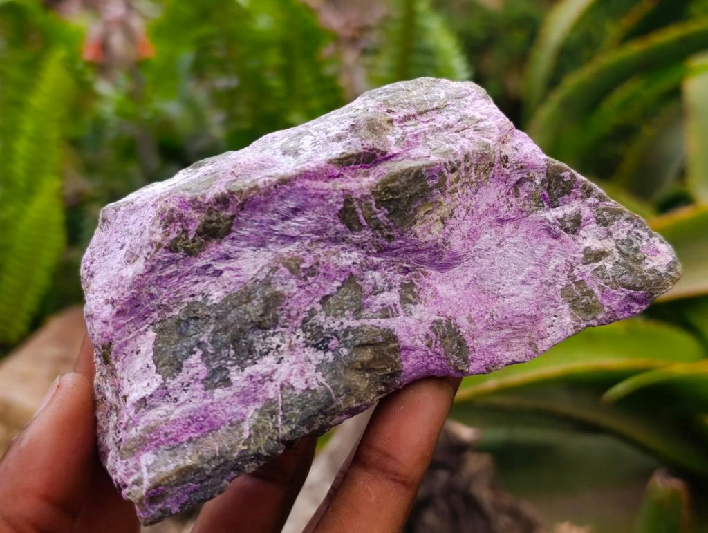 Natural Stichtite Cobbed Specimens x 6 From Barberton, South Africa