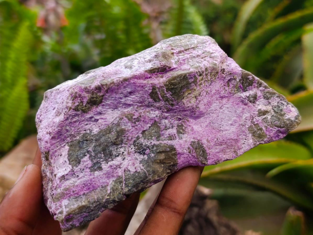 Natural Stichtite Cobbed Specimens x 6 From Barberton, South Africa