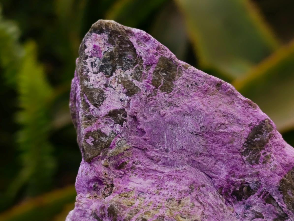 Natural Stichtite Cobbed Specimens x 6 From Barberton, South Africa