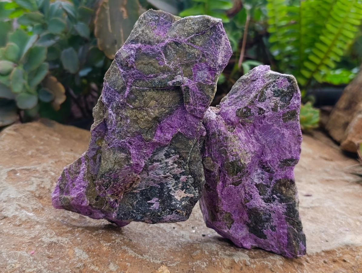 Natural Stichtite Cobbed Specimens x 6 From Barberton, South Africa