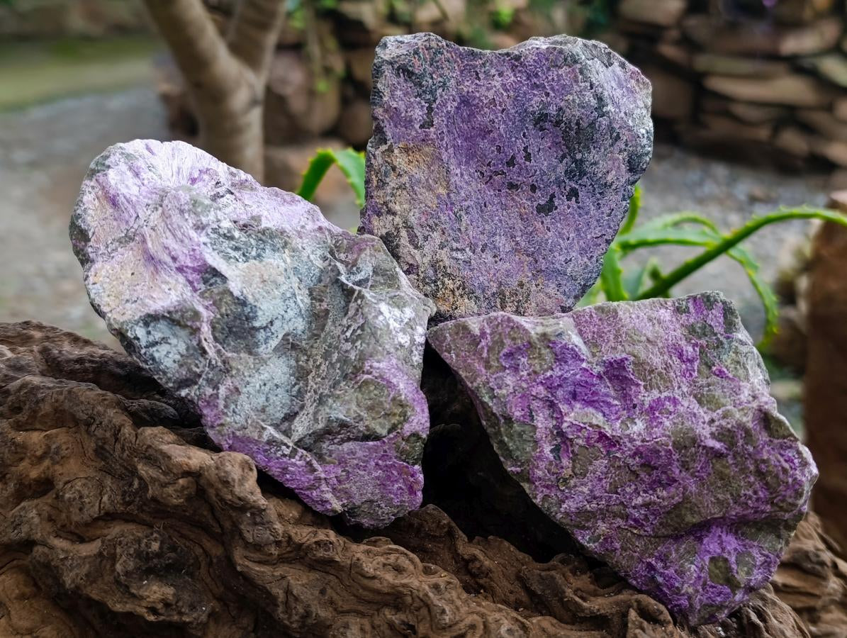 Natural Stichtite Cobbed Specimens x 6 From Barberton, South Africa