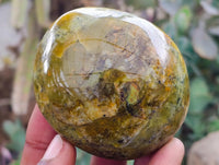 Polished Green Opal Palm Stones x 12 From Antsirabe, Madagascar