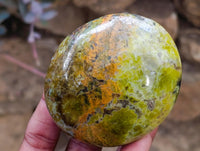 Polished Green Opal Palm Stones x 12 From Antsirabe, Madagascar