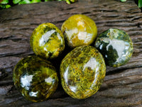 Polished Green Opal Palm Stones x 12 From Antsirabe, Madagascar