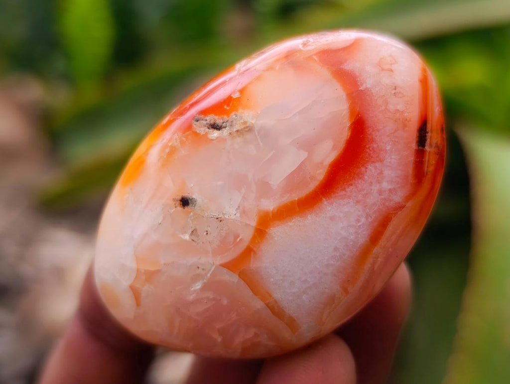 Polished Carnelian Agate Gemstone Galets x 20 From Madagascar - Toprock Gemstones and Minerals 