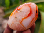 Polished Carnelian Agate Gemstone Galets x 20 From Madagascar - Toprock Gemstones and Minerals 