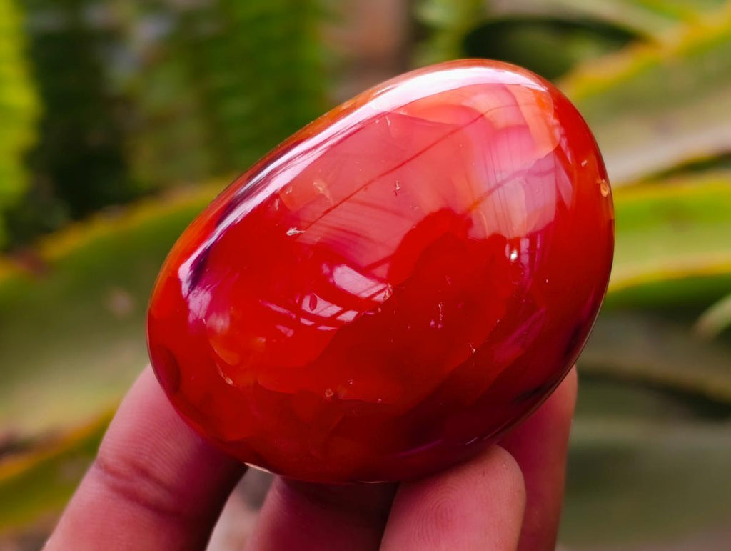 Polished Carnelian Agate Gemstone Galets x 20 From Madagascar - Toprock Gemstones and Minerals 