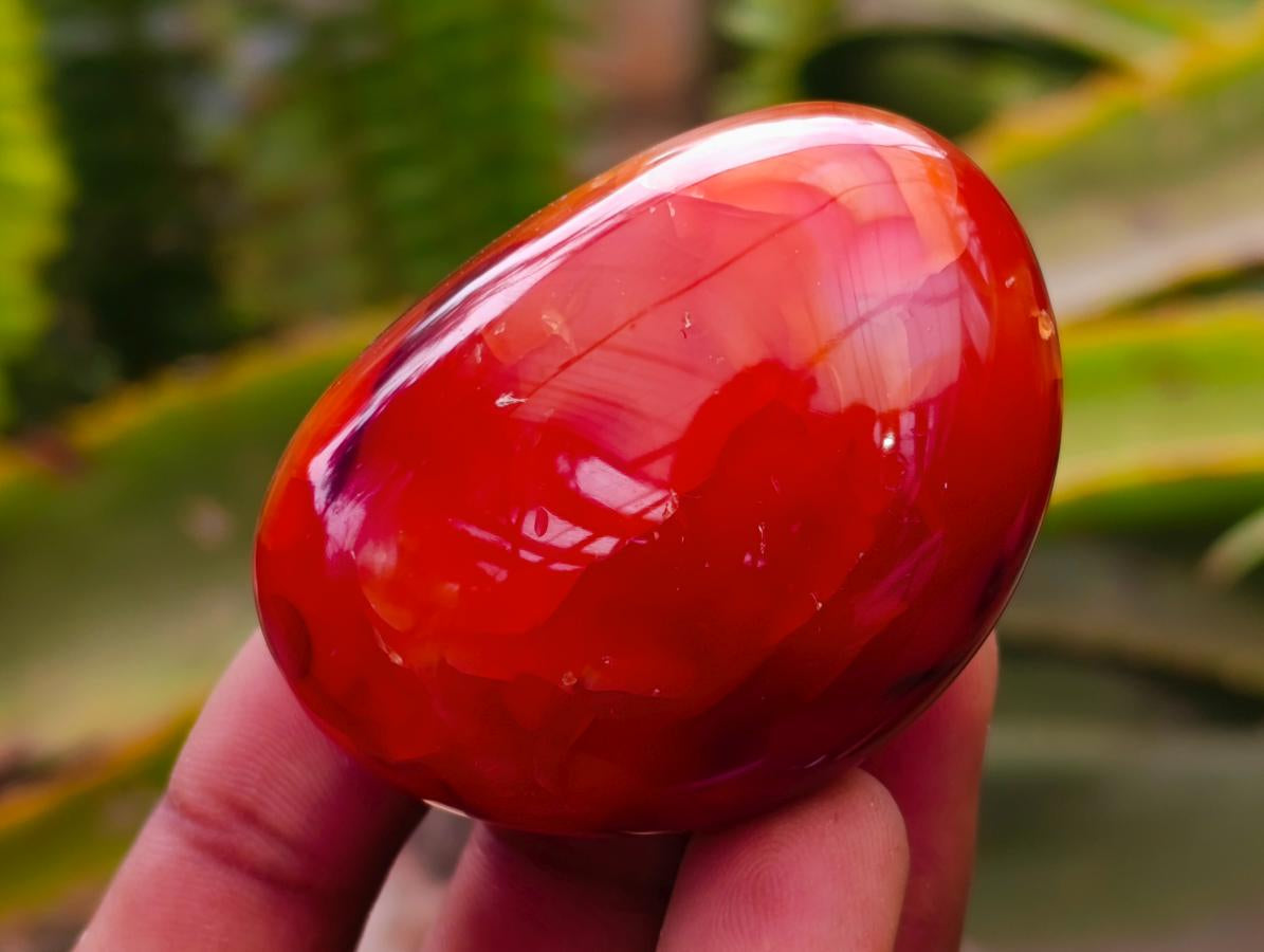 Polished Carnelian Agate Gemstone Galets x 20 From Madagascar