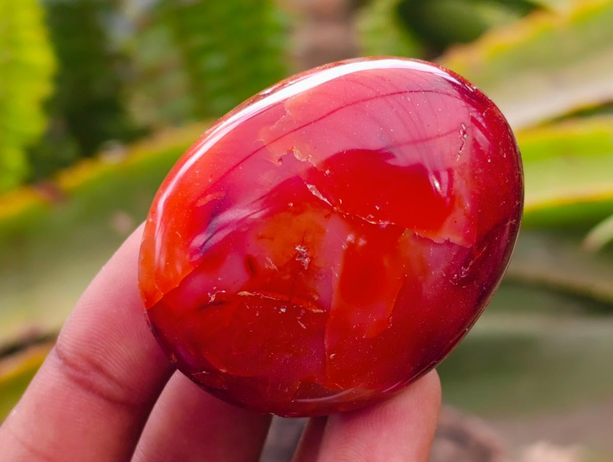 Polished Carnelian Agate Gemstone Galets x 20 From Madagascar - Toprock Gemstones and Minerals 