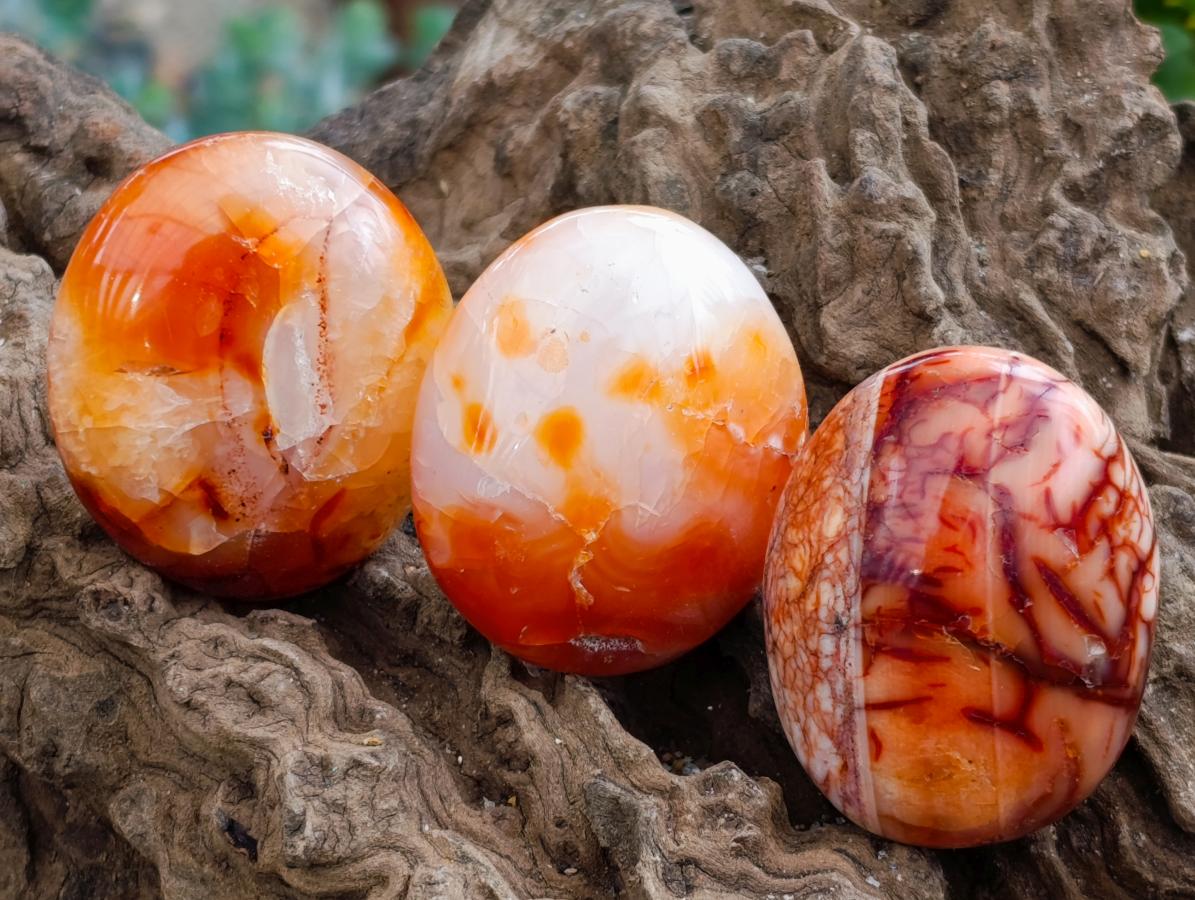 Polished Carnelian Agate Gemstone Galets x 20 From Madagascar