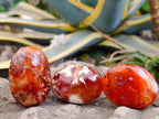 Polished Carnelian Agate Gemstone Galets x 20 From Madagascar - Toprock Gemstones and Minerals 