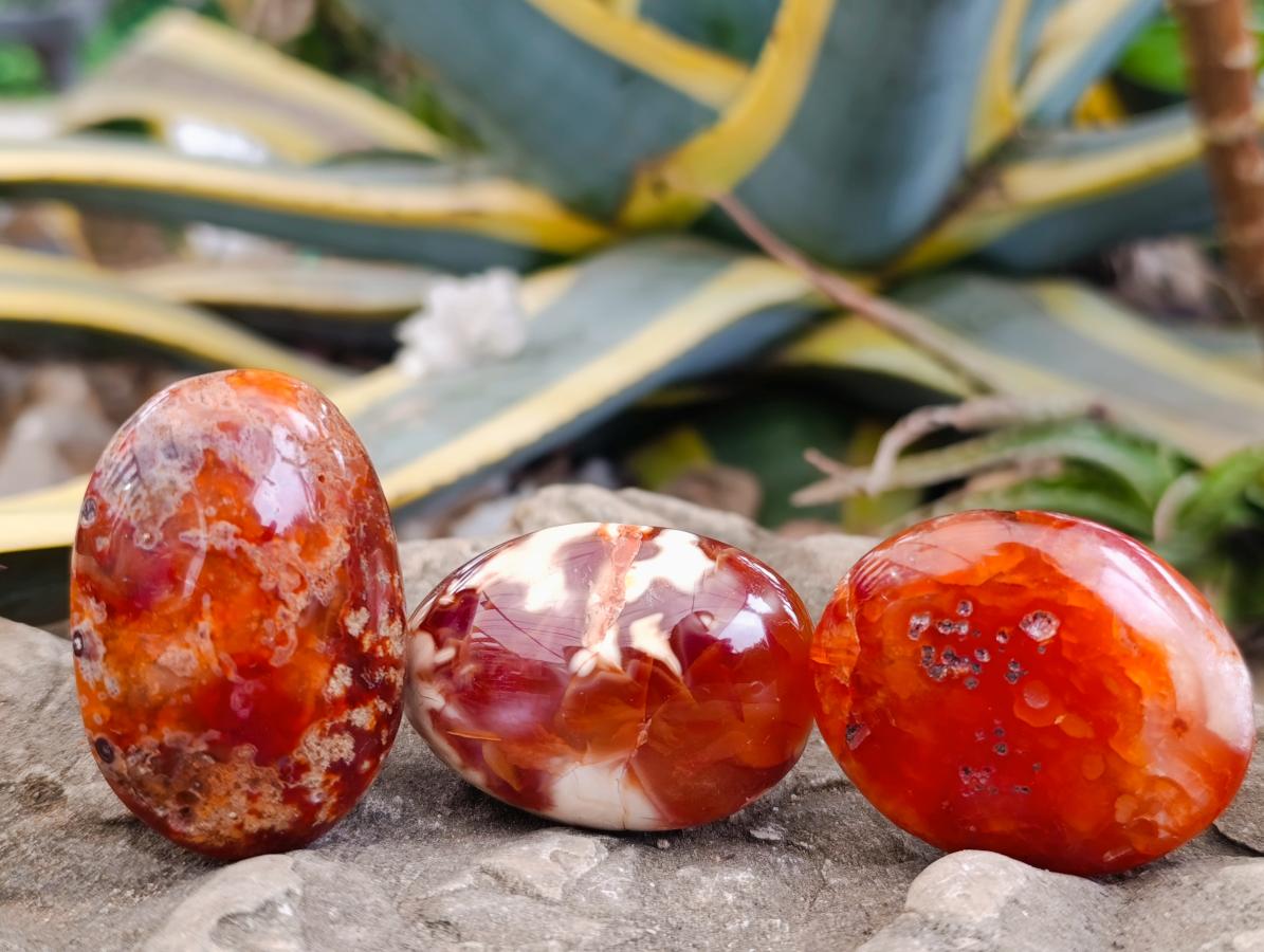Polished Carnelian Agate Gemstone Galets x 20 From Madagascar