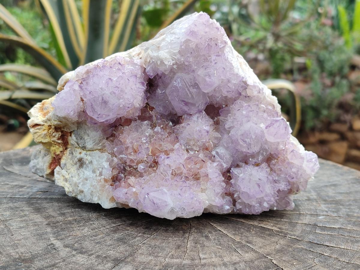 Natural Sunburst Amethyst Spirit Cluster x 1 From Boekenhouthoek, South Africa