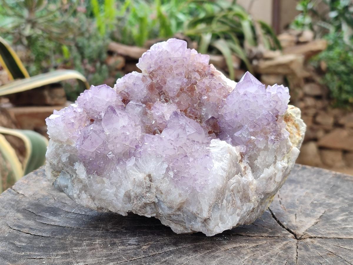 Natural Sunburst Amethyst Spirit Cluster x 1 From Boekenhouthoek, South Africa