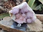 Natural Sunburst Amethyst Spirit Cluster x 1 From Boekenhouthoek, South Africa