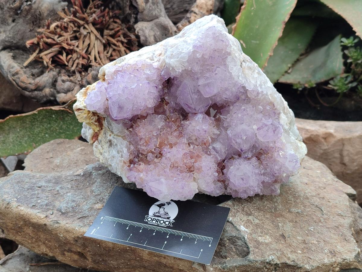 Natural Sunburst Amethyst Spirit Cluster x 1 From Boekenhouthoek, South Africa