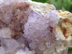 Natural Sunburst Amethyst Spirit Cluster x 1 From Boekenhouthoek, South Africa
