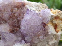 Natural Sunburst Amethyst Spirit Cluster x 1 From Boekenhouthoek, South Africa