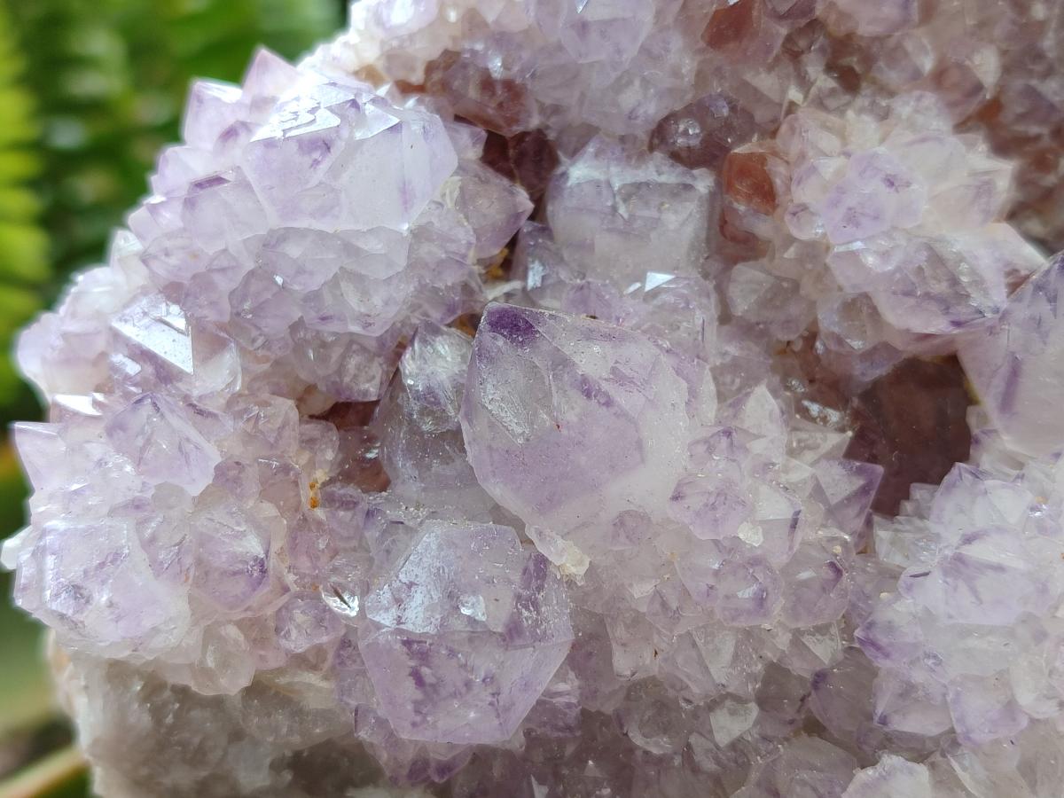 Natural Sunburst Amethyst Spirit Cluster x 1 From Boekenhouthoek, South Africa