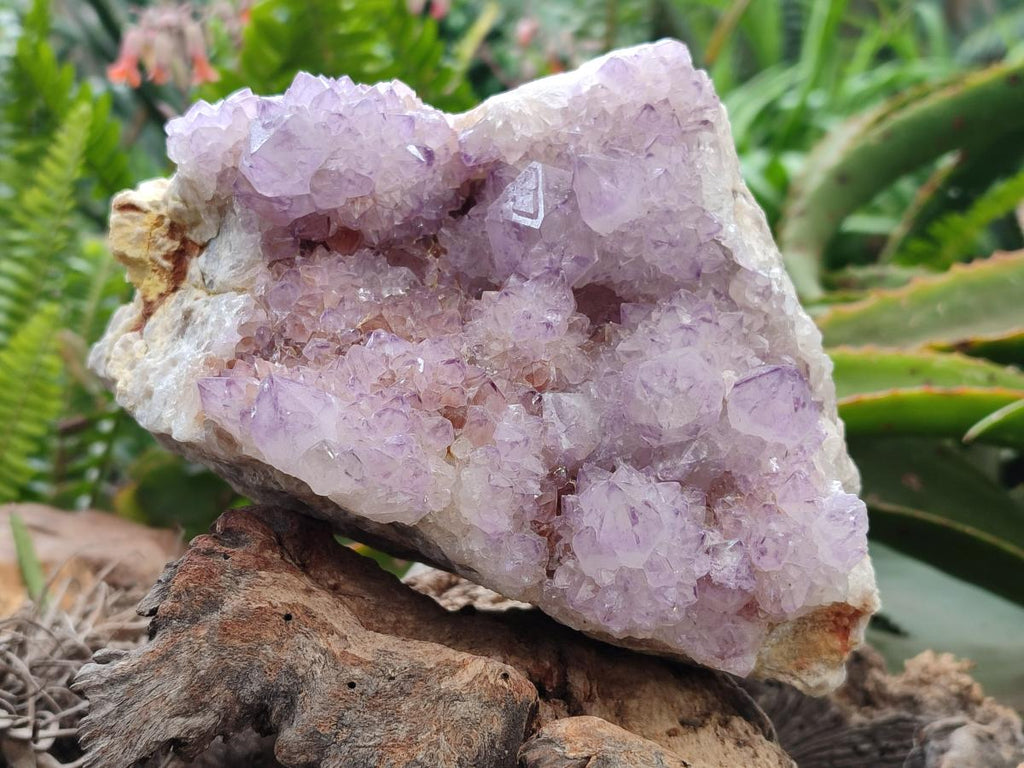 Natural Sunburst Amethyst Spirit Cluster x 1 From Boekenhouthoek, South Africa
