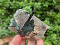 Natural Aegirine Specimens x 6 From Zomba, Malawi