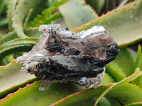 Natural Aegirine Specimens x 6 From Zomba, Malawi