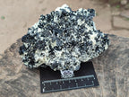 Natural Schorl Black Tourmaline with Mica x 1 From Erongo, Namibia - Toprock Gemstones and Minerals 