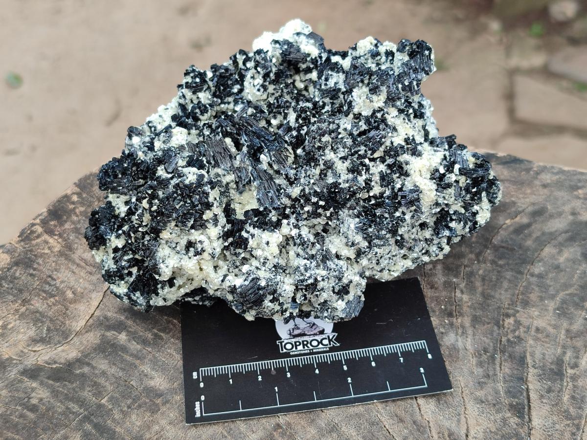 Natural Schorl Black Tourmaline with Mica x 1 From Erongo, Namibia - Toprock Gemstones and Minerals 