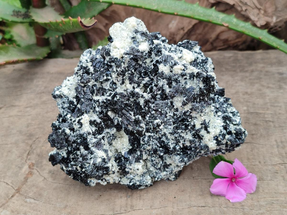 Natural Schorl Black Tourmaline with Mica x 1 From Erongo, Namibia - Toprock Gemstones and Minerals 