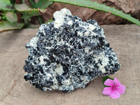Natural Schorl Black Tourmaline with Mica x 1 From Erongo, Namibia