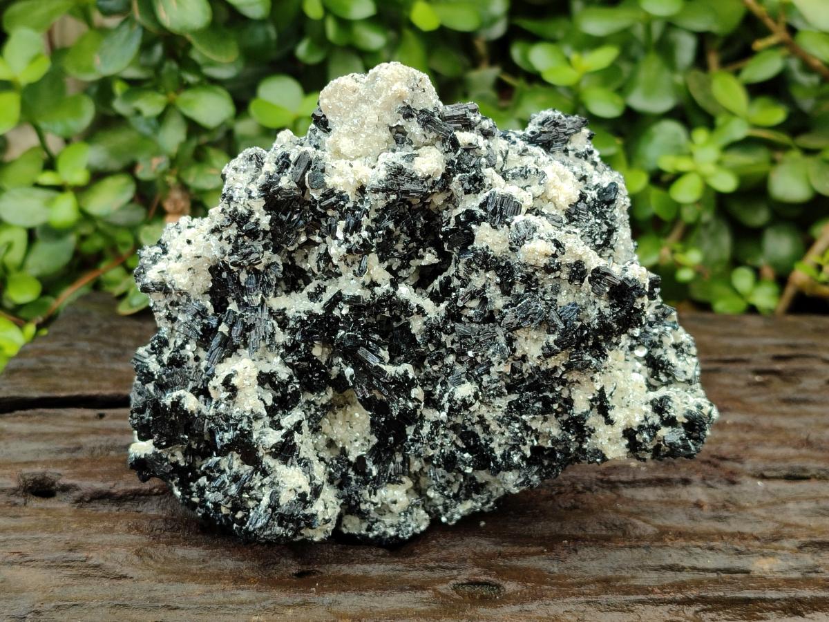 Natural Schorl Black Tourmaline with Mica x 1 From Erongo, Namibia - Toprock Gemstones and Minerals 