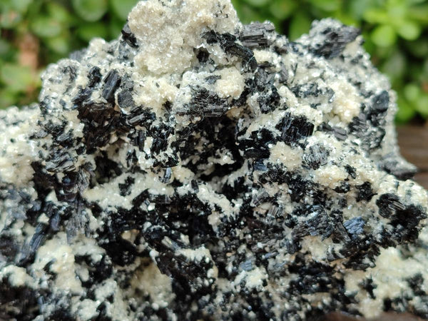 Natural Schorl Black Tourmaline with Mica x 1 From Erongo, Namibia