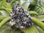 Natural Schorl Black Tourmaline with Mica x 1 From Erongo, Namibia - Toprock Gemstones and Minerals 