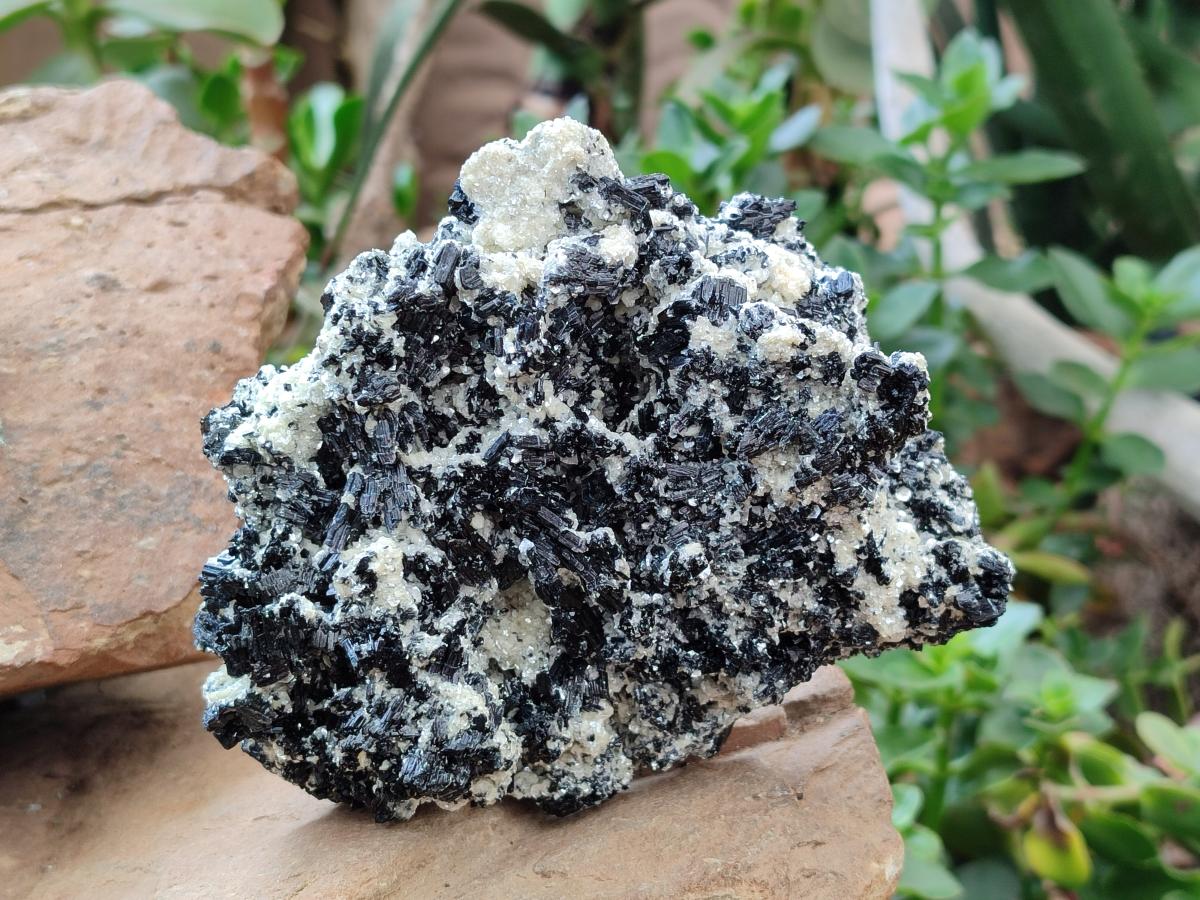 Natural Schorl Black Tourmaline with Mica x 1 From Erongo, Namibia - Toprock Gemstones and Minerals 