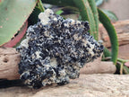 Natural Schorl Black Tourmaline with Mica x 1 From Erongo, Namibia - Toprock Gemstones and Minerals 