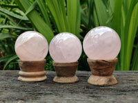 Polished Gemmy Star Rose Quartz Spheres x 6 From Madagascar
