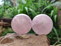 Polished Gemmy Star Rose Quartz Spheres x 6 From Madagascar