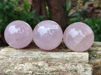 Polished Gemmy Star Rose Quartz Spheres x 6 From Madagascar