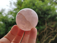Polished Gemmy Star Rose Quartz Spheres x 6 From Madagascar