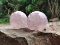 Polished Gemmy Star Rose Quartz Spheres x 6 From Madagascar