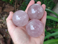 Polished Gemmy Star Rose Quartz Spheres x 6 From Madagascar