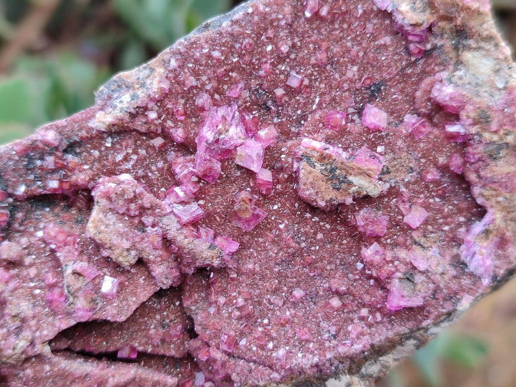 Natural Salrose Cobaltion Dolomite Specimens x 6 From Kakanda, Congo - Toprock Gemstones and Minerals 