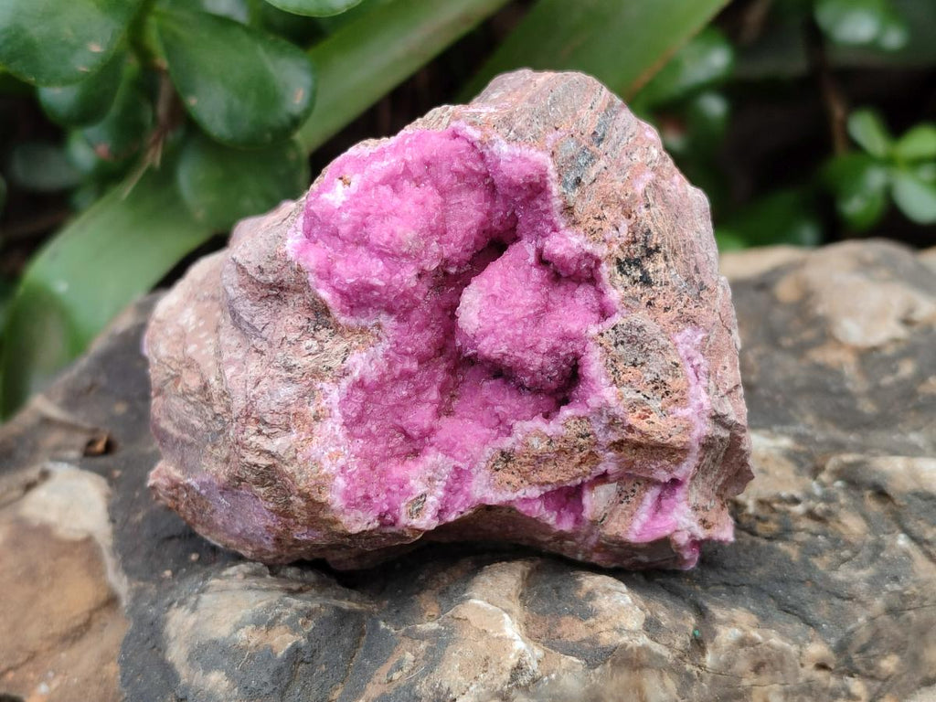 Natural Salrose Cobaltion Dolomite Specimens x 6 From Kakanda, Congo - Toprock Gemstones and Minerals 